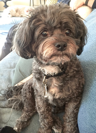 Beloved Luigi 2005-2021